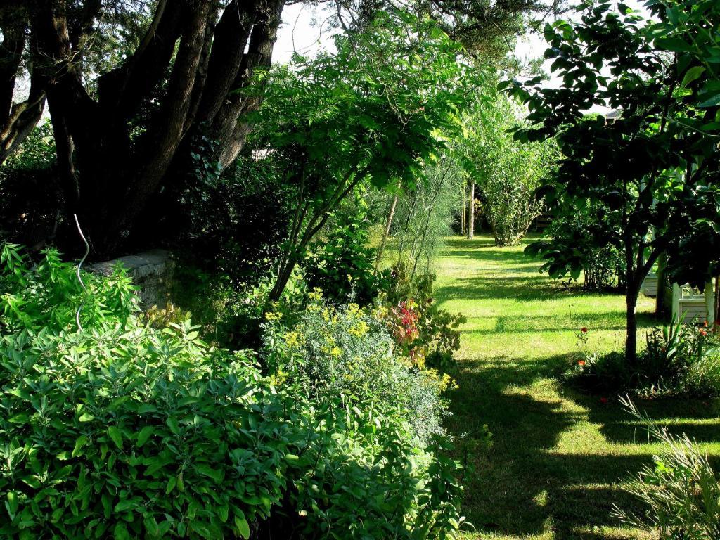La Claverie Sainte-Radegonde-des-Noyers Luaran gambar