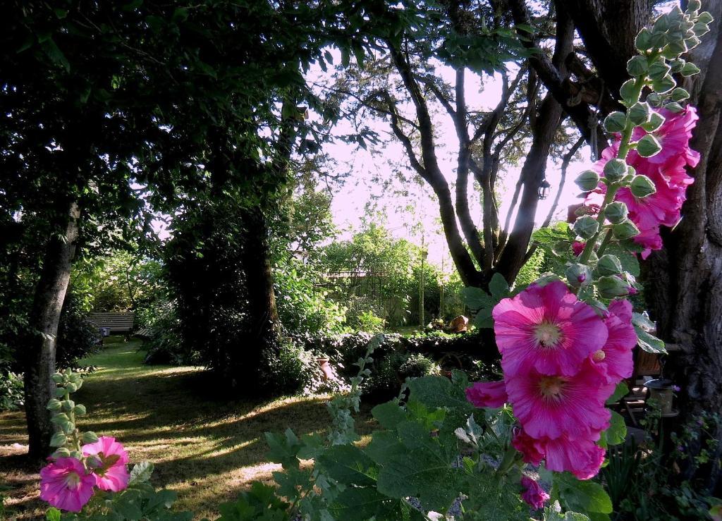 La Claverie Sainte-Radegonde-des-Noyers Luaran gambar